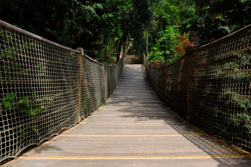 Une allée du Parc Yıldız à Istanbul